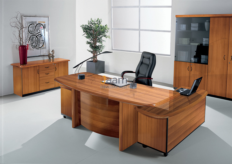 Кабинет руководителя Cannes