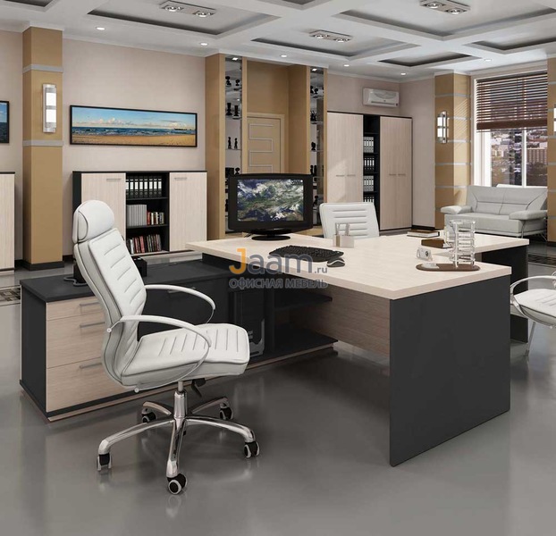 Кабинет руководителя Сенатор