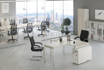 Кабинет руководителя TESS