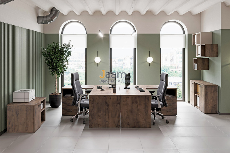 Кабинет руководителя Lemo