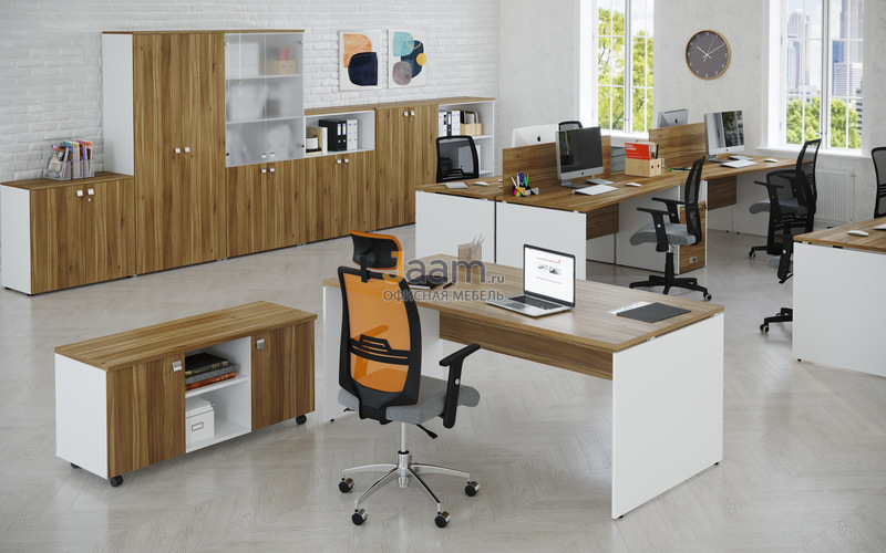 Кабинет руководителя TESS