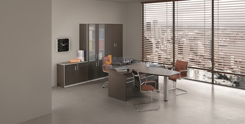 Кабинет руководителя Practic Direct