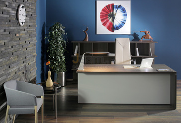 Кабинет руководителя Terra