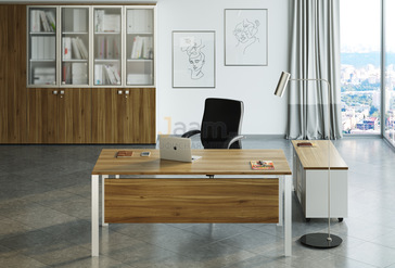 Кабинет руководителя TESS