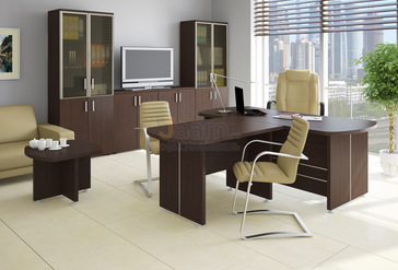 Кабинет руководителя BONN