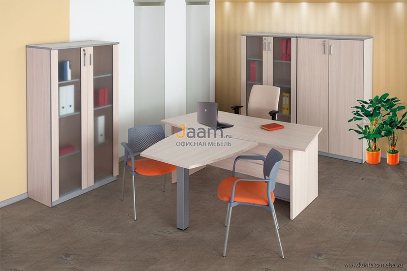 Кабинет руководителя Practic Direct