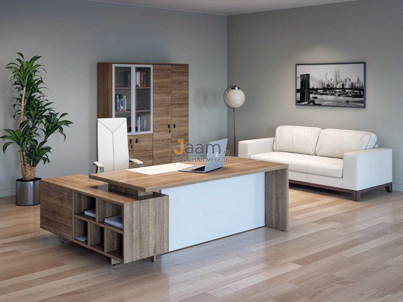 Кабинет руководителя Terra