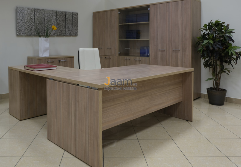 Кабинет руководителя Патриот